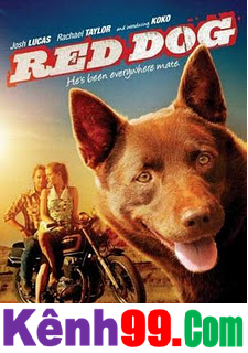 Xem Phim Chú Chó Đỏ Full HD